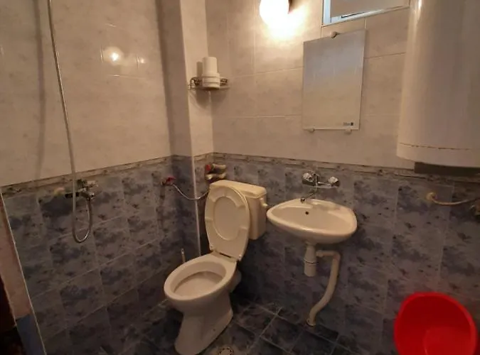 Damyanov 招待所 4*