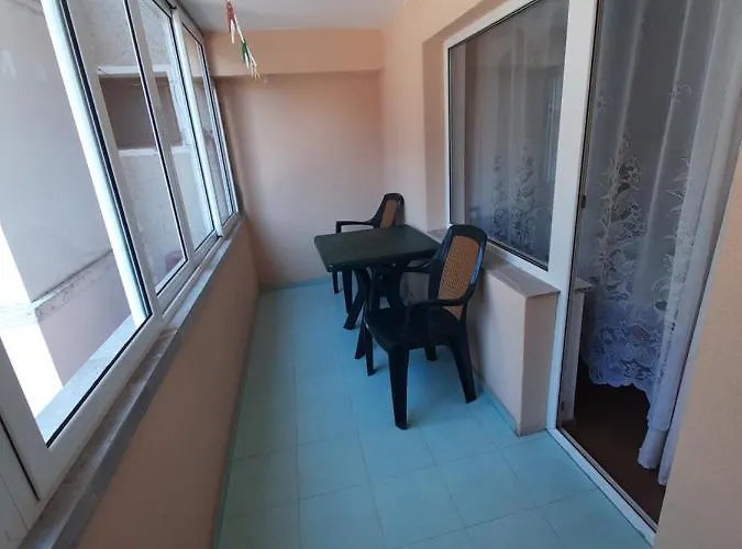 Damyanov 招待所 4*