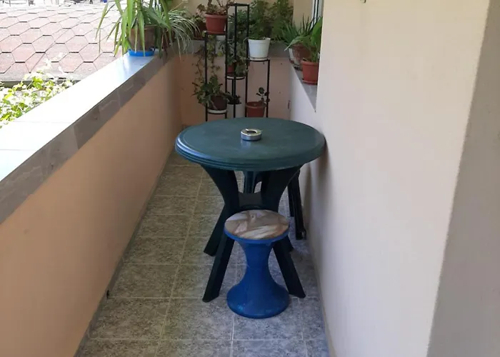 招待所 Damyanov 拉夫达