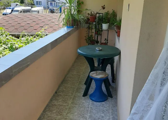 Damyanov 4* 拉夫达